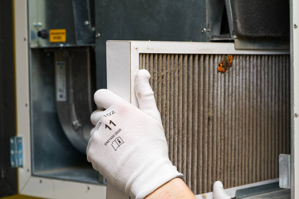 Best Affordable HVAC Duct Cleaning  in Powell, AL