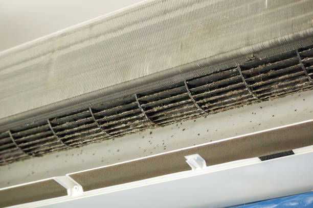 Best Ventilation Cleaning Services  in Powell, AL